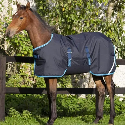 Image de Horseware Amigo Ripstop 900D Foal Turnout 50g - Taille 60