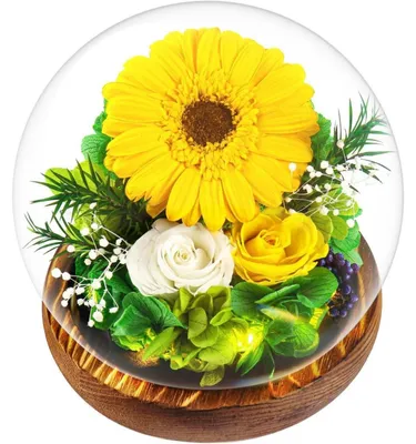 Image de Fleur de tournesol conservée dans un vase, fleur éternelle, cadeau pour femmes, fête des mères, anniversaire, forme ronde, couleur jaune