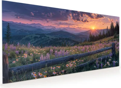 Produktbild von Küchenrückwand Spritzschutz Glas mit Motiv Sonnenuntergang Wiese 40 x 40 cm