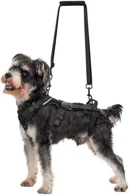 Produktbild von Hundegeschirr, Hopper Kleines Unterstützung Geschirr Einstellbares Hebegeschirr mit 2 Griffen für Unterstützung und Rehabilitation Geeignet für Kleiner Hund Schwarz XS