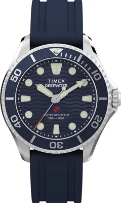 Image de Montre Timex TW2Y40300 bleu