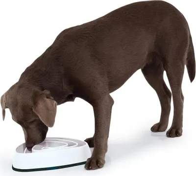 Produktbild von Edupet Hundespielzeug - Dog Bowl, 21 cm weiss