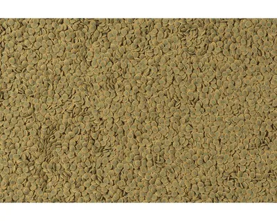 Productafbeelding van Tetra Pleco Wafer, 250 ml