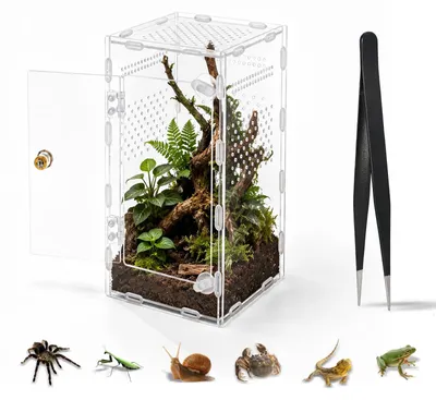 Image de Omgoods - Terrarium acrylique de 15 x 14 x 25 cm, pour insectes et reptiles