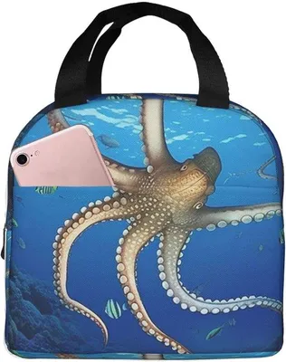 Produktbild von Famanu Lunchtasche Isoliert - Tragbare Kühlbox - 22 x 13 x 20 cm