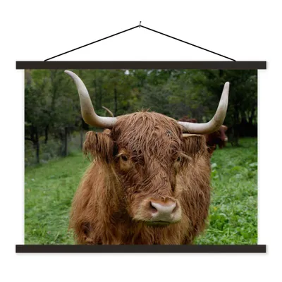Produktbild von MuchoWow® Textilposter Schottische Highlander - Tiere - Gras 40x30 cm mit schwarzem Rahmen - Dekorationen
