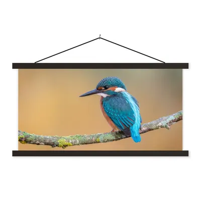 Produktbild von MuchoWow® Textilposter Vogel - Eisvogel - Tiere - Zweig 60x30 cm mit schwarzem Rahmen - Textilien
