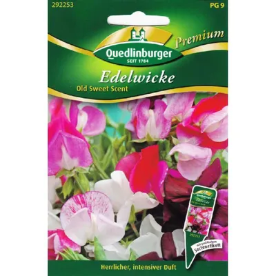 Immagine prodotto di Quedlinburger Saatgut - Vecchie vetrine dal profumo dolce - Semi - 292253