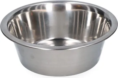 Image de Bol à manger et à boire en acier inoxydable Ø 21 cm