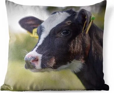 Produktbild von MuchoWow® Outdoor Kissen - Kuh - Kalb - Tiere - Bauernhof - 50x50 cm - Wetterfest - Lounge Kissen - Komfortabel - Kissen mit Bild