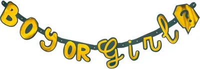 Produktbild von Boy or Girl Buchstabengirlande