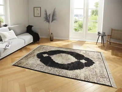 Imagen del producto de Alfombra Nouristan, 200 cm x 300 cm, diseño Aminah Hamun, color gris antracita y beige