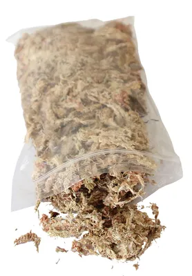 Produktbild von Flowerbox-Moos 100 Gramm für Bepflanzung und Austausch von Pflanzen