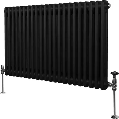 Zdjęcie produktu dla Tradycyjny grzejnik 2-kolumnowy - 600 x 1012 mm - Czarny
