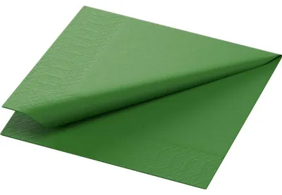 Obrázek produktu pro Duni Servietten leaf green 24x24cm 250 Stück