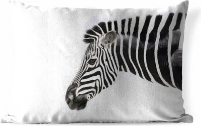Produktbild von MuchoWow® Outdoor Kissen - Zebra - Tiere - Weiß - 50x30 cm - Wetterfest - Lounge Kissen - Sofa kissen - Wohnzimmer Dekoration