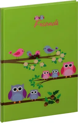 Produktbild von PAGNA Freundebuch "Sweet Owls" 120 g/qm 60 Blatt