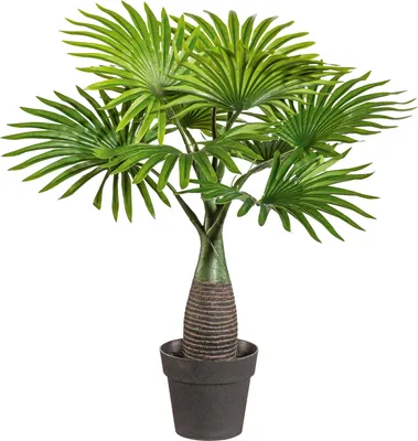Produktbild von Kunstpalme Minifächerpalme H 45 cm grün