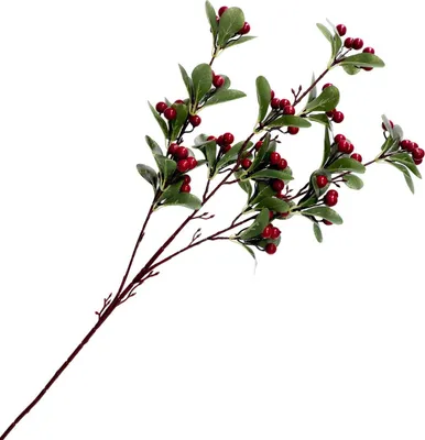 Immagine prodotto di HOMLA REETA ramo rosso con foglie 100 cm