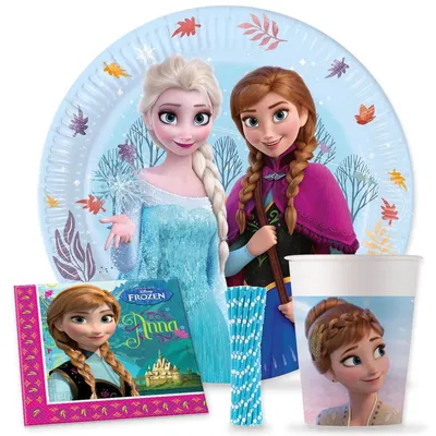 Produktbild von Party Deko Set Die Eiskönigin 2 Nordlichter Kindergeburtstag Geburtstag Einweggeschirr für 16 Kinder