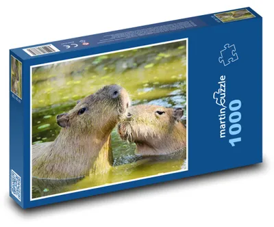 Obrázok produktu pre Puzzle 1000 Kapybara v prírode - martinpuzzle