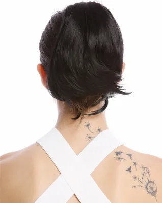 Produktbild von WIG ME UP Zopf Pferdeschwanz kurz glatt Schwarz N869-V-1