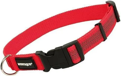 Produktbild von Mystique Gummiertes Halsband 30-40cm 25mm rot