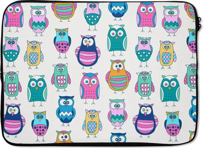 Produktbild von MuchoWow® Laptop Hülle 13 Zoll Regenbogen - Eule - Cartoon Laptoptasche - Laptophülle - Sleeve - Rundumschutz