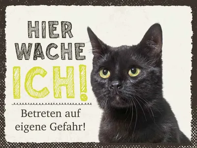 Produktbild von vianmo Holzschild 30x40 cm Katze hier wache ich eigene Gefahr Tier Haustier