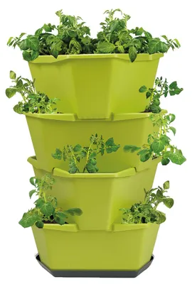 Produktbild von PAUL POTATO Kartoffelturm Starter Set grün (4 Etagen) | Kartoffeltürme von Gusta Garden