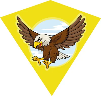 Produktbild von TEDDIES Fliegender Adler Drache 68x73cm