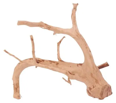 Produktbild von L Moorkienwurzel Nr.4247 Fingerwurzel Echtholz Deko Aquascaping