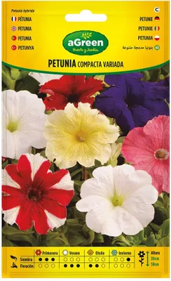 Image de à Propos De La Variété Graines De Pétunia Compactes 300678bolsh Daccord - Agreen