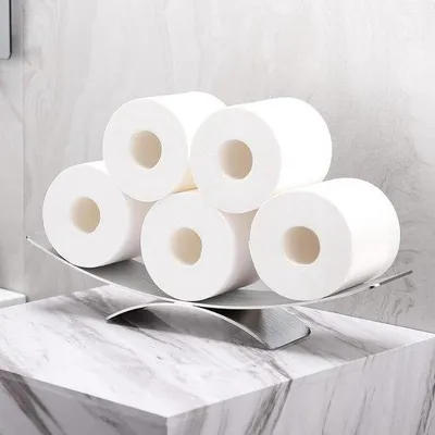 Obrázok produktu pre Držiak na toaletný papier z nehrdzavejúcej ocele, na 6 rolí, strieborný