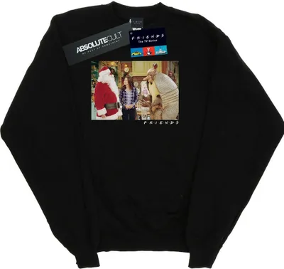 Produktbild von Friends - "The Holiday Armadillo" Sweatshirt für Herren BI24068 (L) (Schwarz)