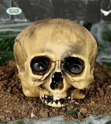 Obrázek produktu pro Dekorace plastová lebka - 20 cm - HALLOWEEN