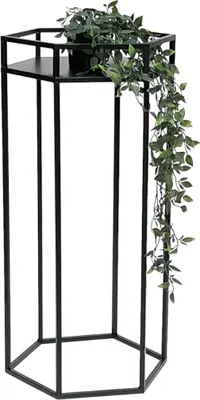 A black metal hexagonal plant stand with a trailing plant on top.