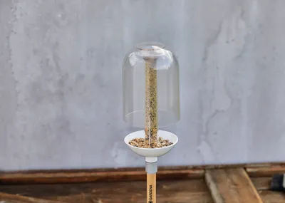 Immagine prodotto di Gardena ClickUp! mangiatoia per uccelli Trasparente, Acrilico bianco