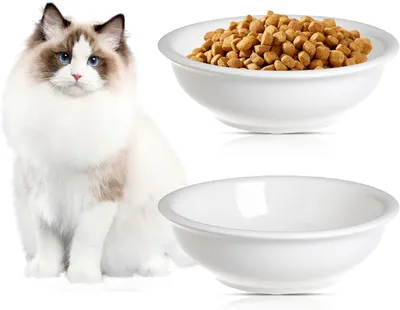 Produktbild von Hunde- und Katzenfutterschalen Set von 2, keramisch, 360 ml, spülmaschinenfest, für Haustiere