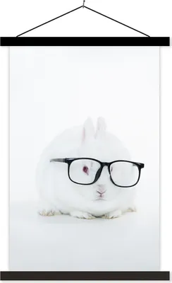 Produktbild von MuchoWow® Textilposter Kaninchen - Brille - Hipster 60x90 cm mit schwarzem Rahmen - Poster Wohnzimmer