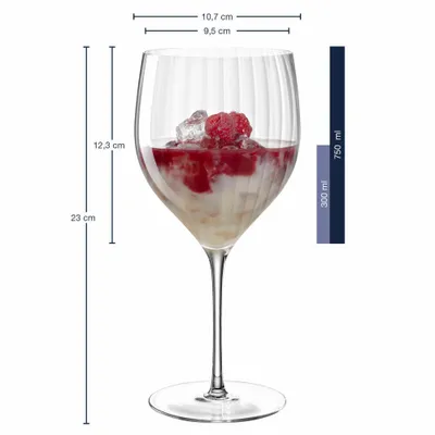 Produktbild von Leonardo Cocktailglas Poesia, Cocktail Glas, Aperolglas, Weinglas, Kristallglas, Klar, 300 ml, 069166