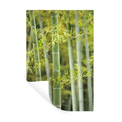 Produktbild von MuchoWow® Wandtattoo Wandsticker Wandaufkleber Blühender Bambus 40x60 cm Selbstklebend und Repositionierbar - Wierderverwendbar - Selbstklebend