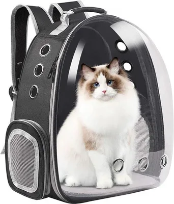 Productafbeelding van Ibenzoa® kattenmand – Robuust, zwart, 35×25×45 cm, geschikt voor katten tot ongeveer 6 kg, gemaakt van Oxford-stof en polycarbonaat, met een transparant kijkvenster