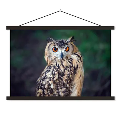 Produktbild von MuchoWow® Textilposter Eule 120x80 cm mit schwarzem Rahmen - Wanddeko
