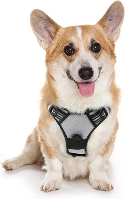 Image de Collier pour chien, réfléchissant et respirant, réglable et souple, pour chiens de grande, moyenne ou petite taille et chiots