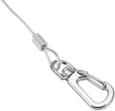 Immagine prodotto di Catena per uccelli in acciaio inossidabile da 6 m con anello per l'addestramento al volo dei pappagalli