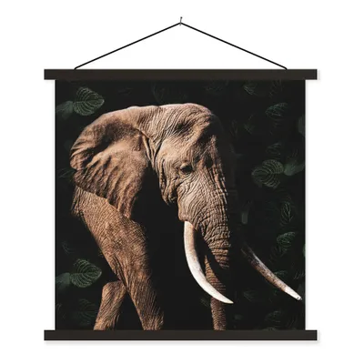 Produktbild von MuchoWow® Textilposter Elefant - Tiere - Zähne 40x40 cm mit schwarzem Rahmen - Fotos