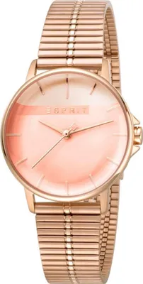 Produktbild von Esprit Uhr Modell ES1L065M0085