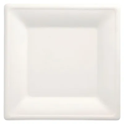 Produktbild von 100 Teller, Zuckerrohr "pure" eckig 26 cm x 26 cm weiss