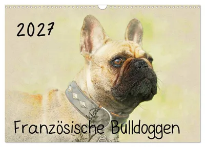 Produktbild von Kalender 2027 · Britische Version · Französische Bulldoggen (Wandkalender 2027 17" × 12" Querformat), CALVENDO 12-Monats-Wandkalender